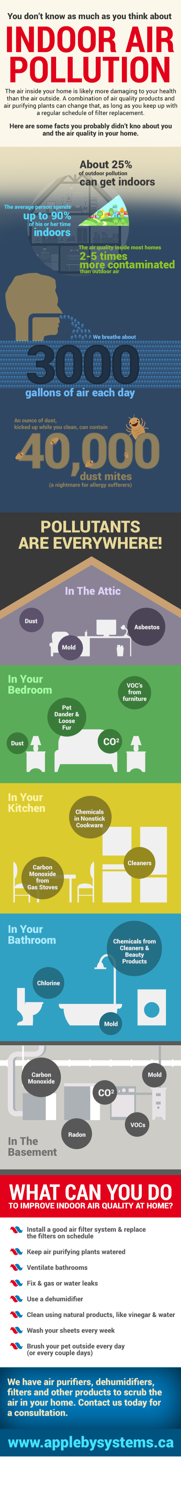 Indoor Air Pollution Infographic